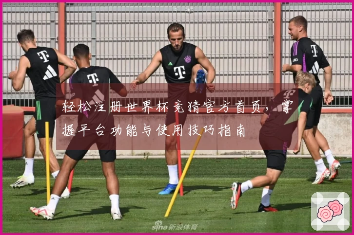 轻松注册世界杯竞猜官方首页，掌握平台功能与使用技巧指南