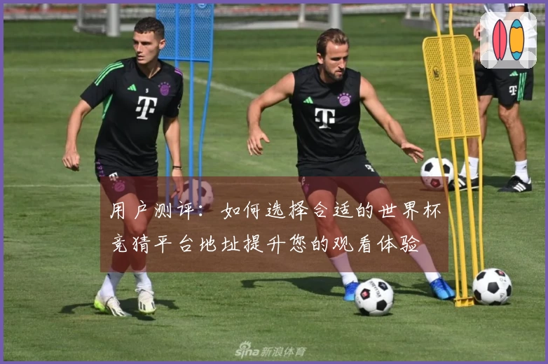用户测评：如何选择合适的世界杯竞猜平台地址提升您的观看体验
