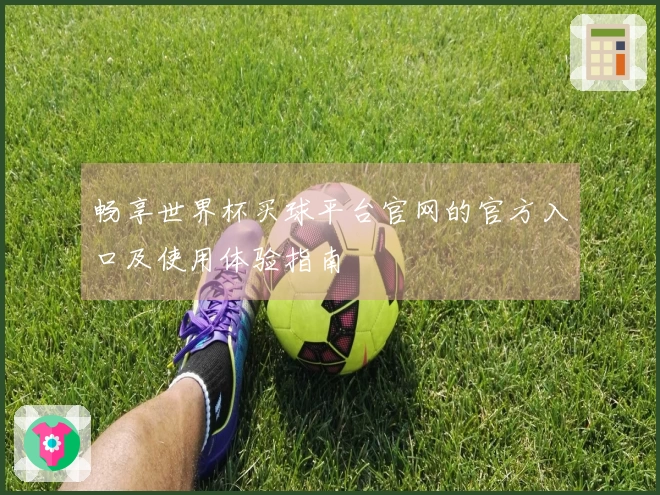 畅享世界杯买球平台官网的官方入口及使用体验指南