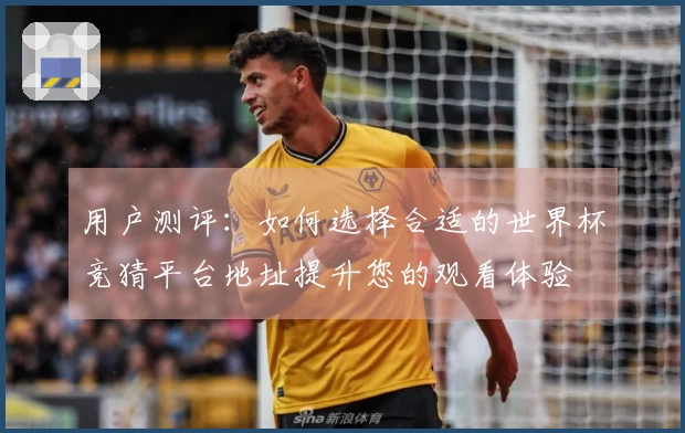 用户测评：如何选择合适的世界杯竞猜平台地址提升您的观看体验