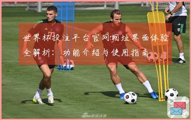 世界杯投注平台官网网址界面体验全解析：功能介绍与使用指南