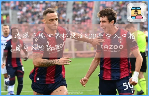 选择正规世界杯投注app平台入口指南与风险防范