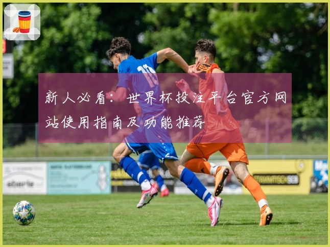 新人必看：世界杯投注平台官方网站使用指南及功能推荐