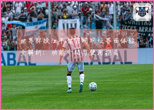 世界杯投注平台官网网址界面体验全解析：功能介绍与使用指南