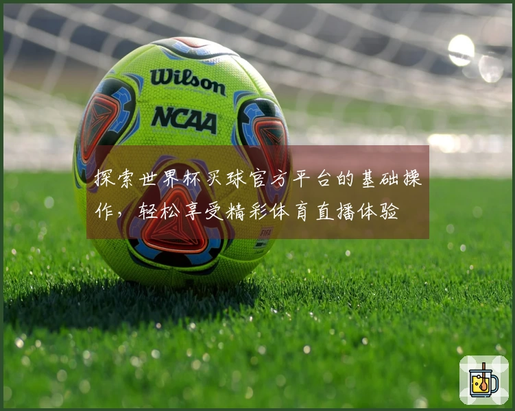 探索世界杯买球官方平台的基础操作，轻松享受精彩体育直播体验