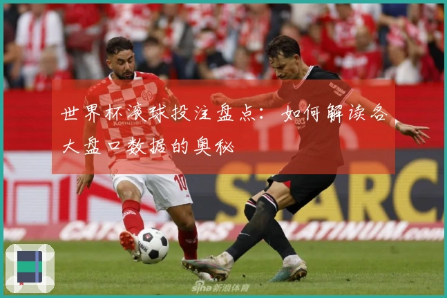 世界杯滚球投注盘点：如何解读各大盘口数据的奥秘