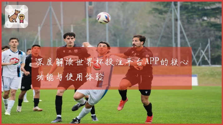 深度解读世界杯投注平台APP的核心功能与使用体验