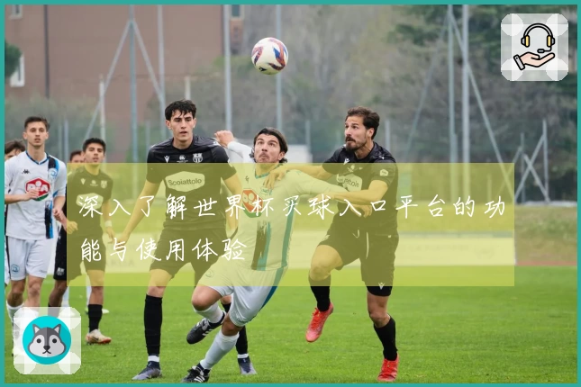 深入了解世界杯买球入口平台的功能与使用体验